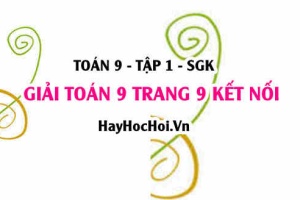 Giải Toán 9 trang 9 tập 1 Kết nối tri thức SGK